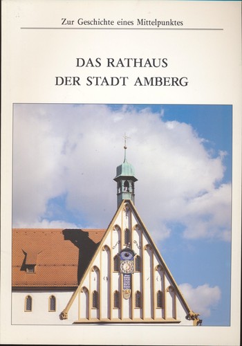 Das rathaus der stadt - das,