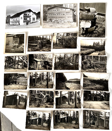 22x foto archiv bienenhof - foto,